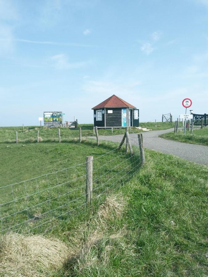 Zeeuwse Zot Bed & Breakfast Wissenkerke Dış mekan fotoğraf